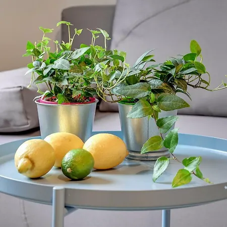 Triapart Ostoja Apartment Jastrzebia Gora